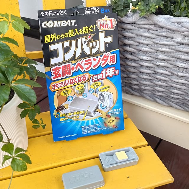 38catさんの部屋