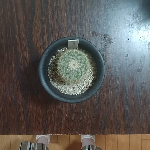 tuushiさんの実例写真