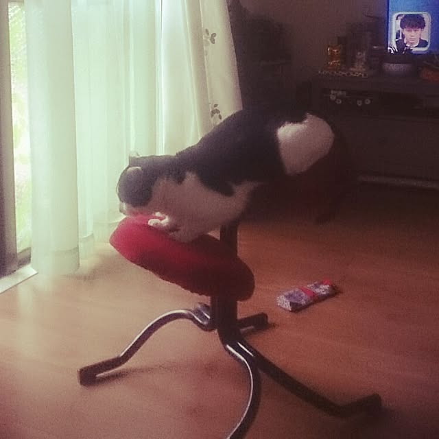 hoshiさんの実例写真
