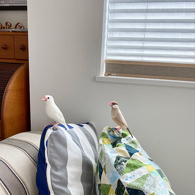 hananokaoriさんの実例写真