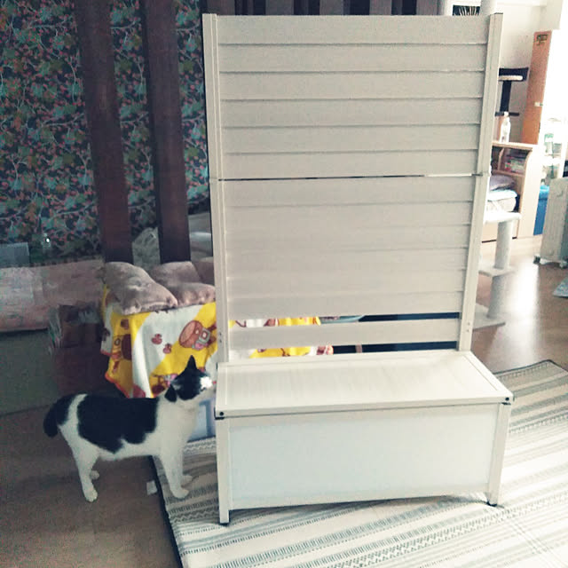 futukoさんの実例写真