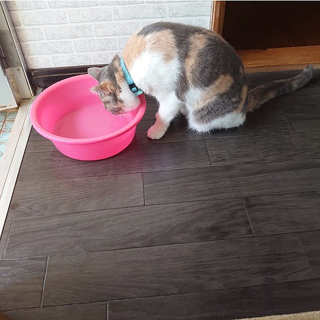 fukuさんの実例写真