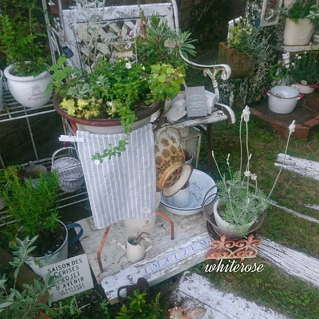 whiteroseさんの実例写真
