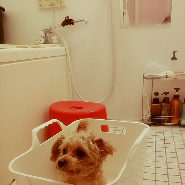 kuruさんの実例写真