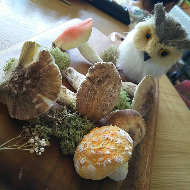 mogu0418さんの実例写真