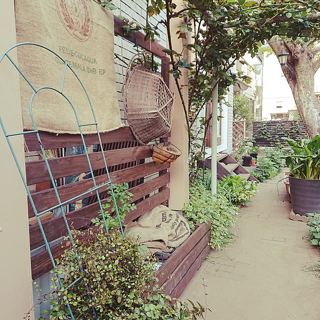 botanさんの実例写真