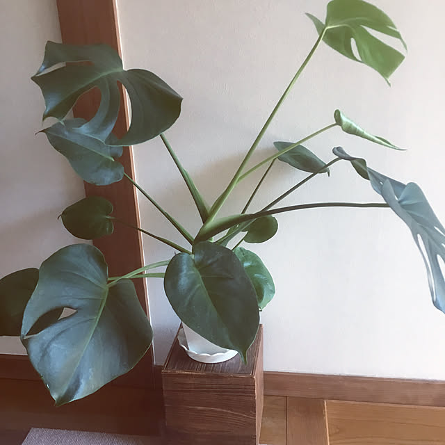orionさんの実例写真