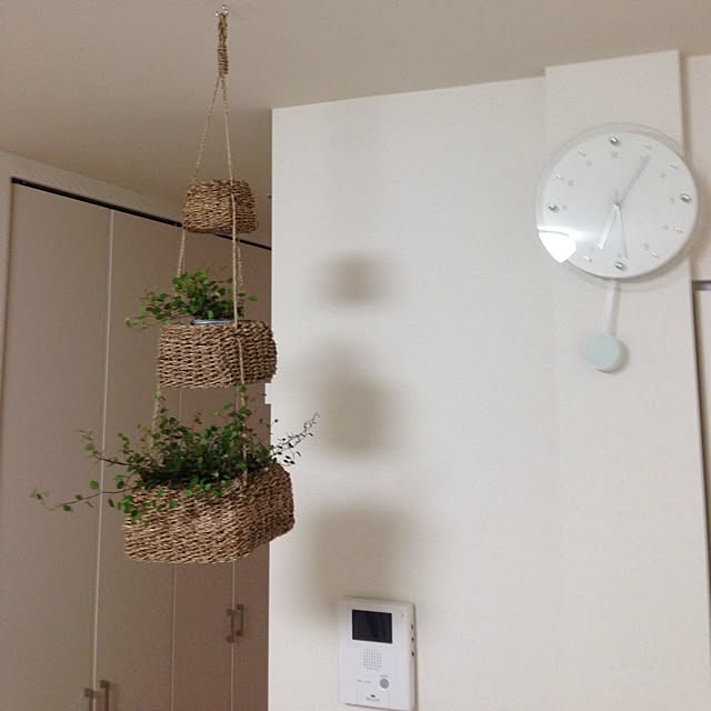 maiさんの実例写真