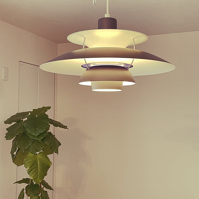 RoomClipアンケート/観葉植物/北欧/照明/部屋全体のインテリア実例 - 2021-10-09 12:43:36