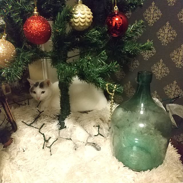 Mikaさんの部屋