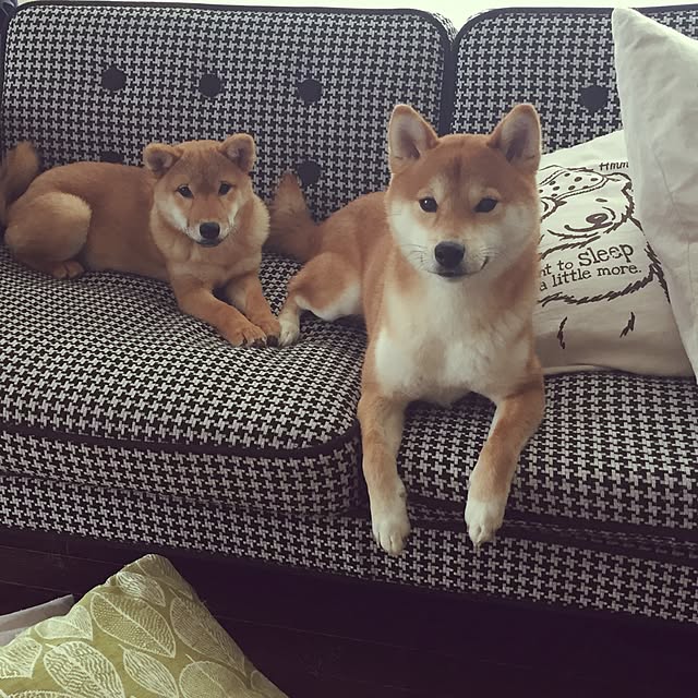 Yukariさんの実例写真