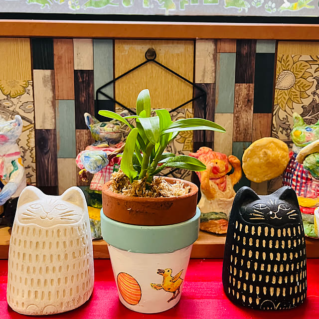 jijiさんの部屋