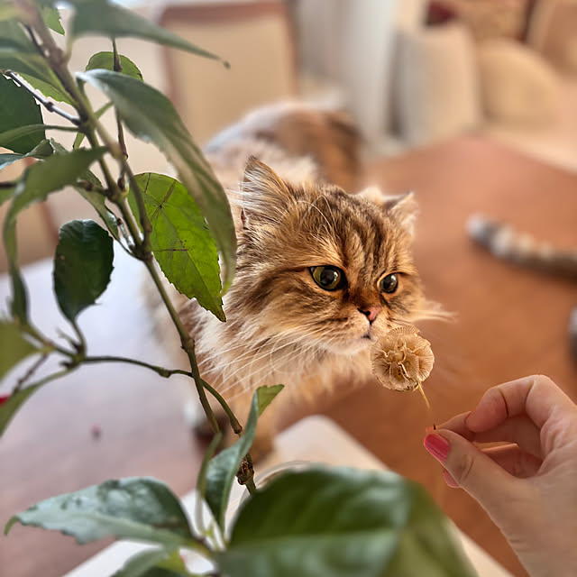 miyu39さんの部屋