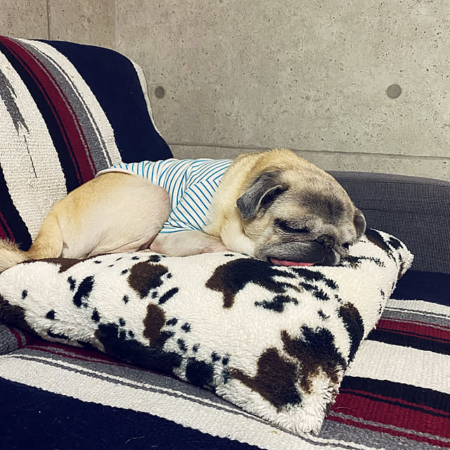 kellyさんの実例写真