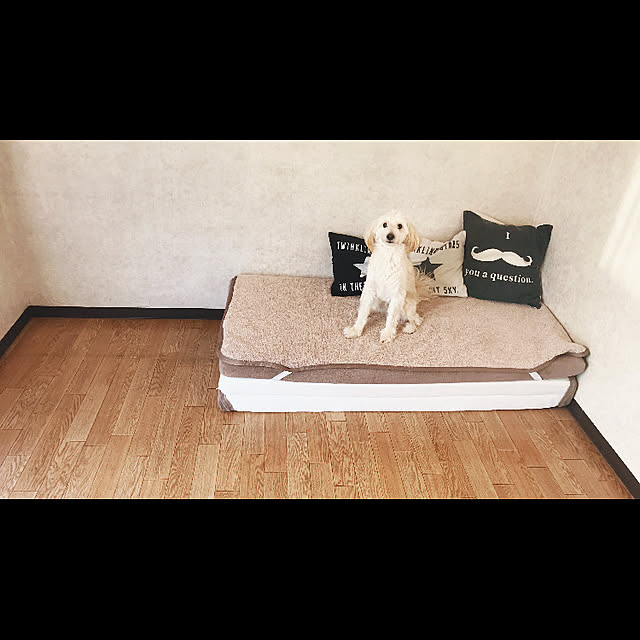 anさんの実例写真