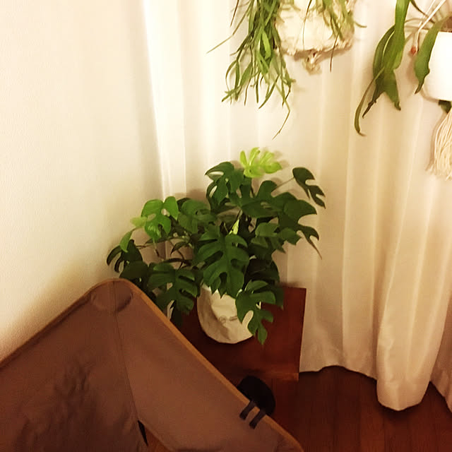 gurebekoさんの実例写真