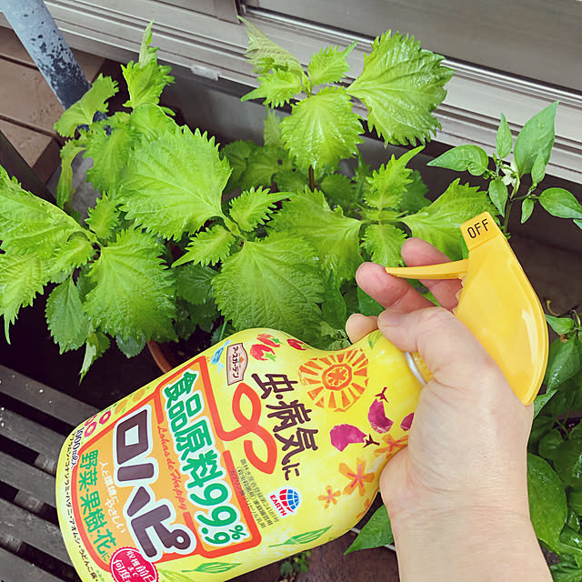 nikoさんの実例写真