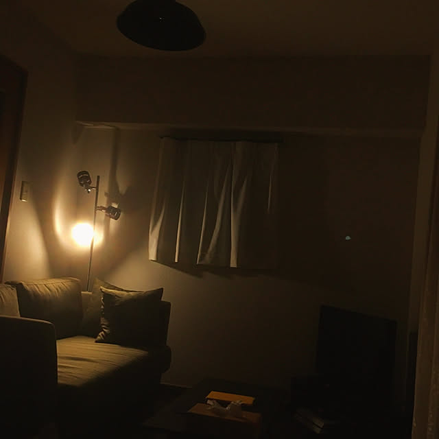 部屋全体/IKEA/一人暮らし/ニトリ/照明...などのインテリア実例 - 2018-12-11 22:58:15