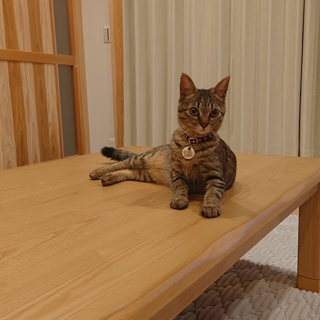sunflower07さんの実例写真