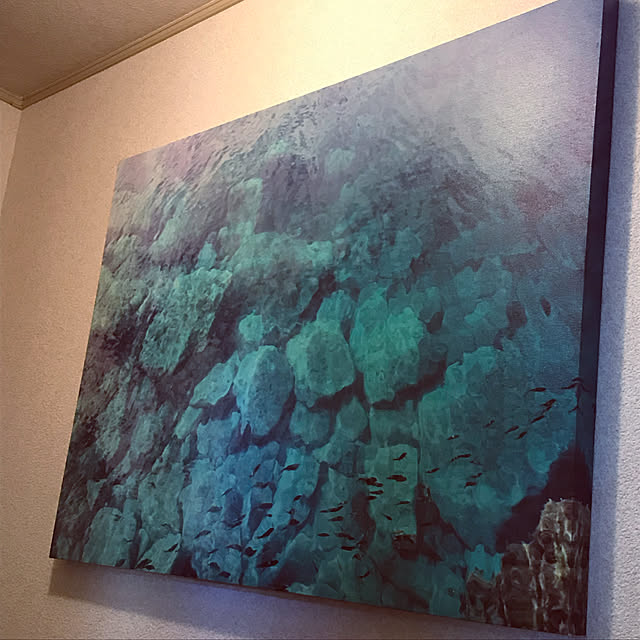pickotanさんの実例写真