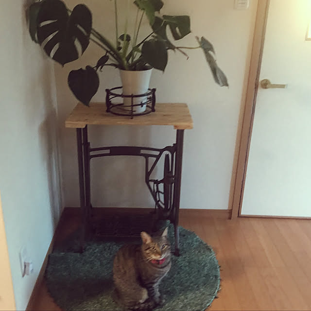 mikan161さんの実例写真