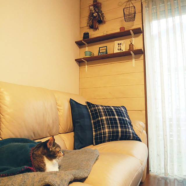 tomo1220さんの実例写真