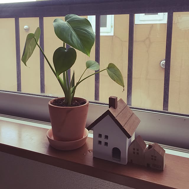 picoさんの実例写真