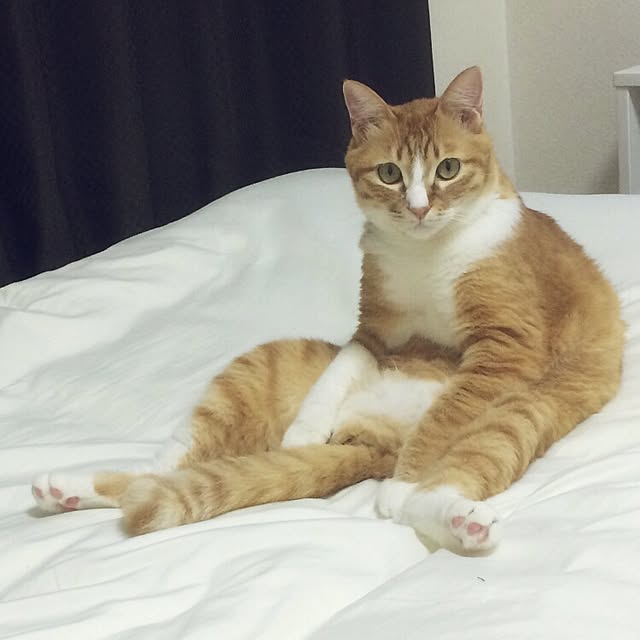 okaasanさんの実例写真