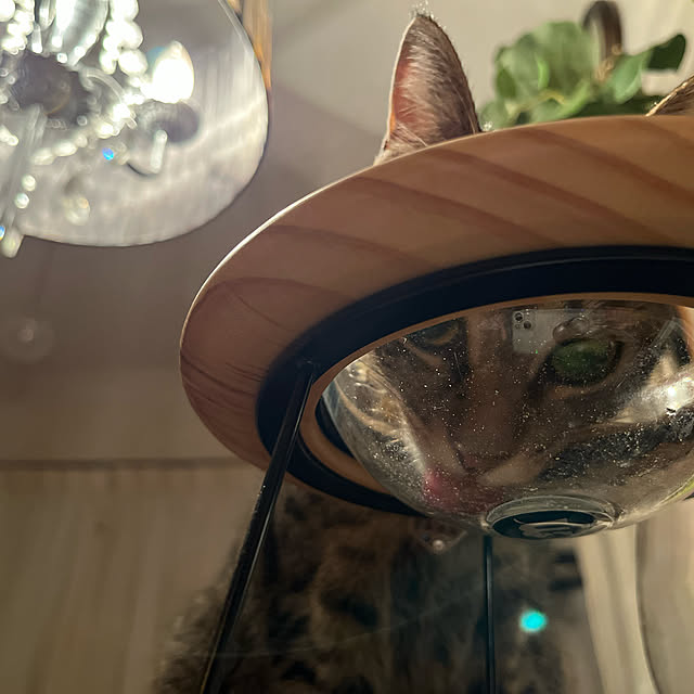 Mさんの実例写真