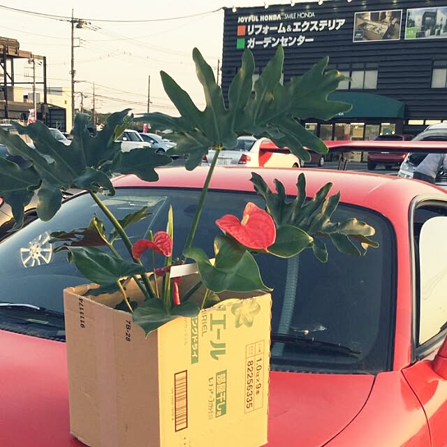 実例写真