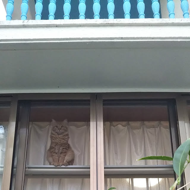 gabさんの実例写真