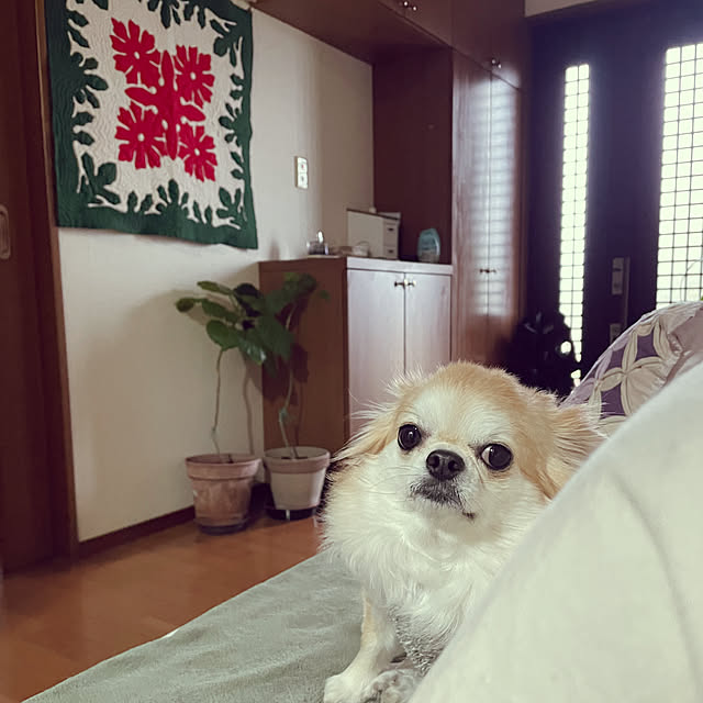 natsumiさんの実例写真