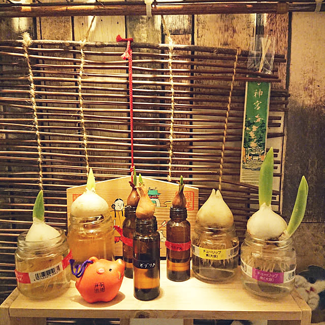 porinさんの実例写真