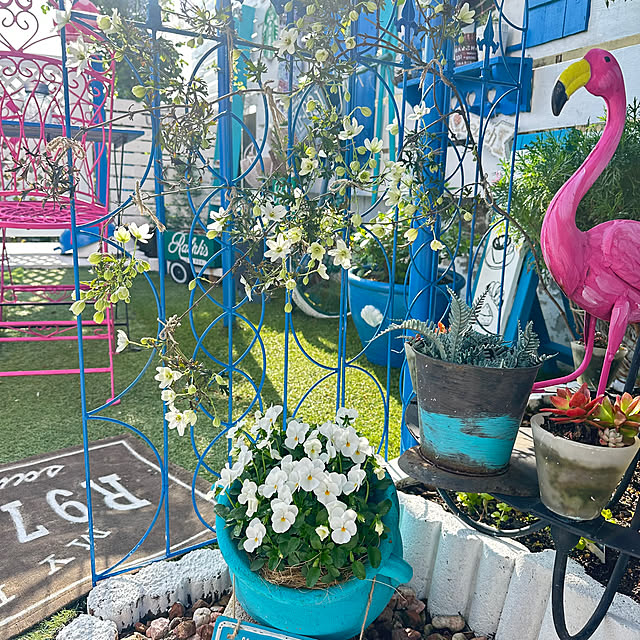 Megumiさんの部屋