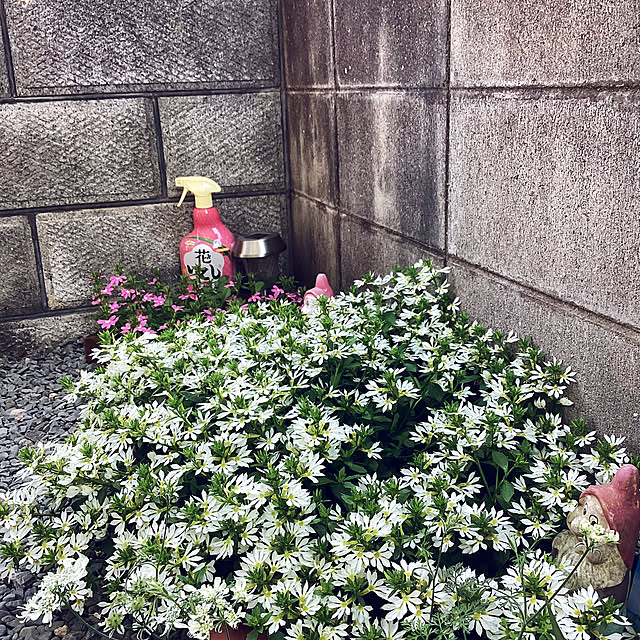 richanさんの部屋