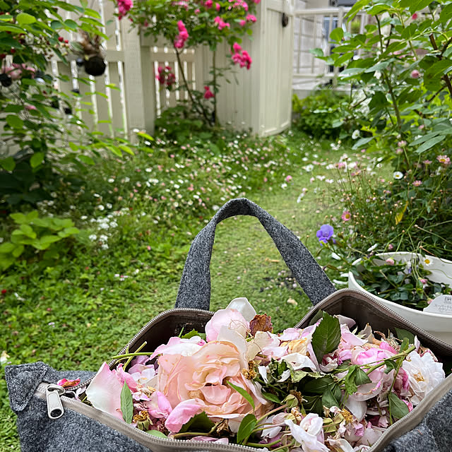 sakuraさんの部屋