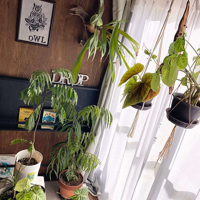 sleeping-dropさんの実例写真