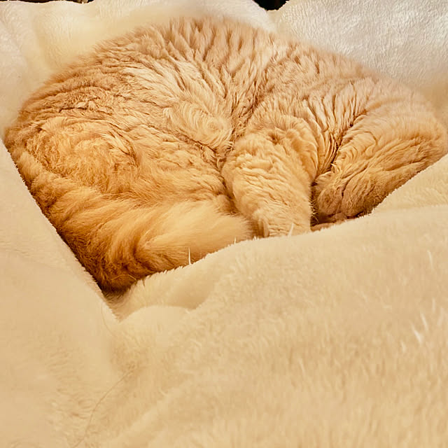 naokoさんの部屋