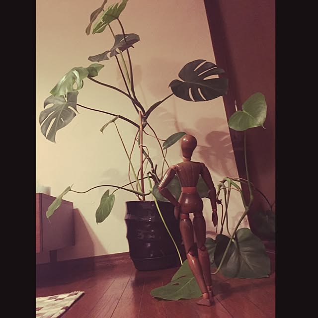 U_tatterさんの実例写真