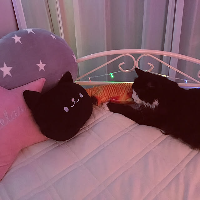 kanaさんの実例写真