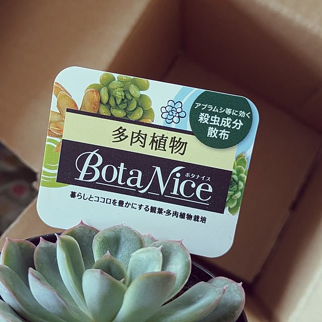 mi-saさんの実例写真
