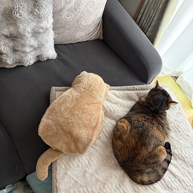 chiiさんのお部屋の写真