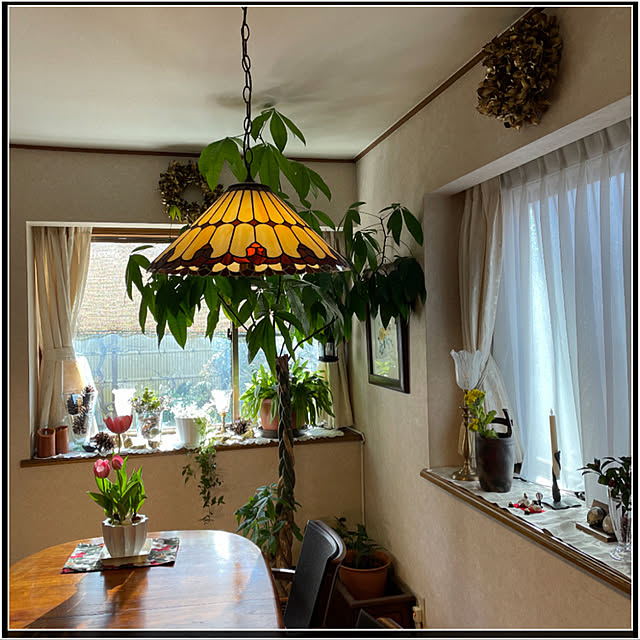 mamizaさんの実例写真