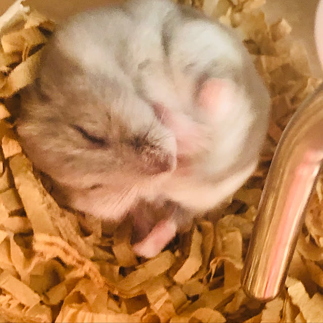 Hanaさんの実例写真