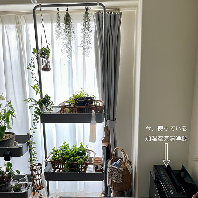 yasuyo66さんの実例写真