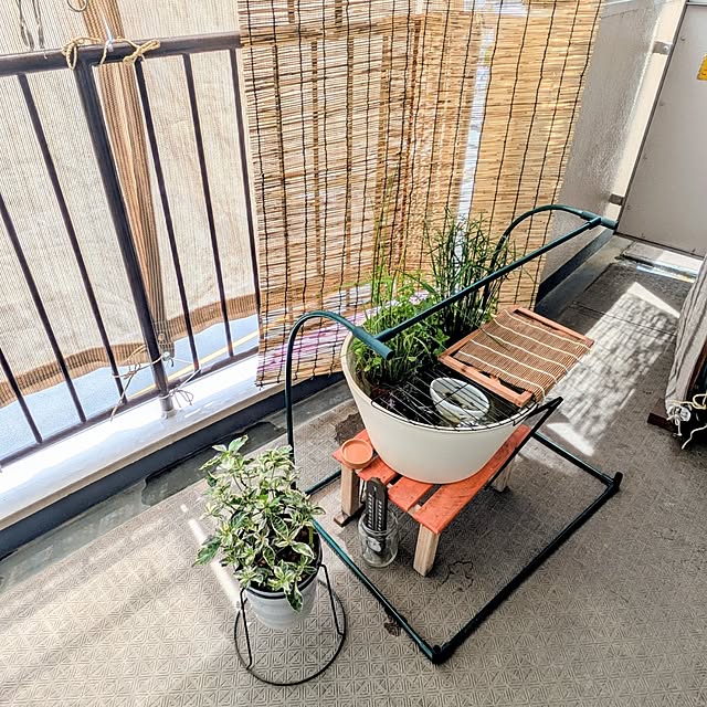 mi-saさんの部屋