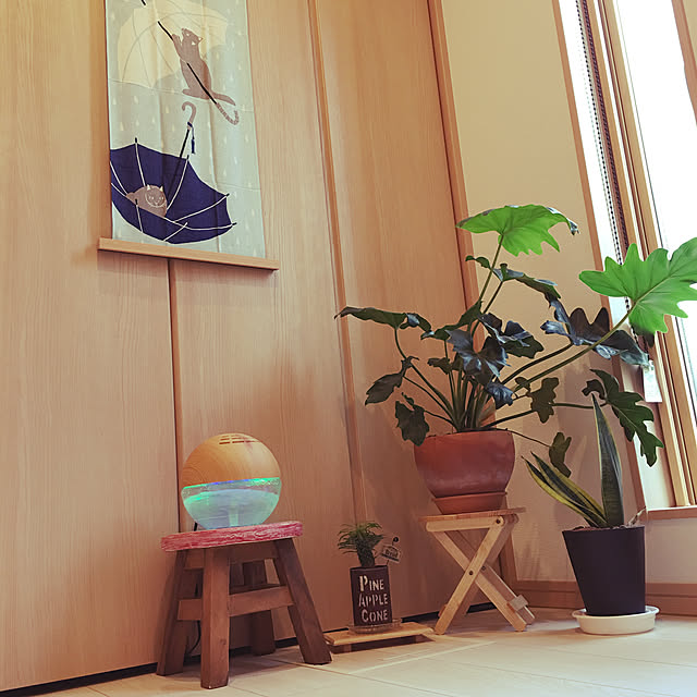 simaocchiさんの実例写真