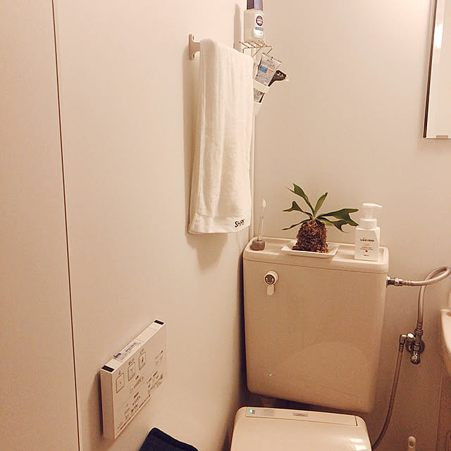 バス/トイレのインテリア実例 - 2020-06-21 00:58:42