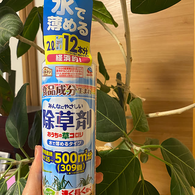 kotaroさんの実例写真