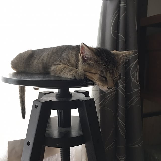 mikomaruさんの実例写真